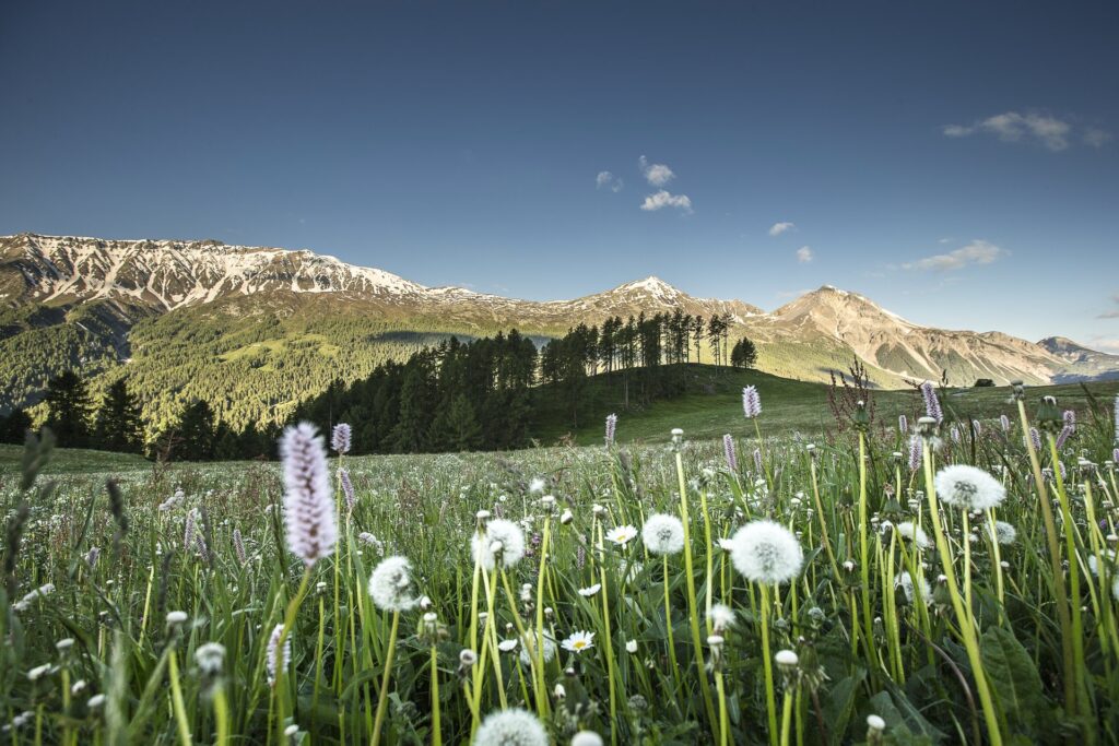 Bild: Biosfera Val Müstair - Foto: © Andrea Badrutt