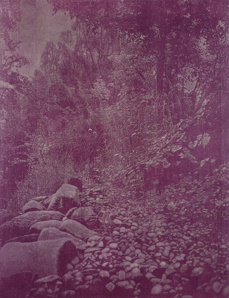 Franz Gertsch (Morenges 1930-2022 Riggisberg), Rüschegg, 1988-1989, gravure sur bois sur papier japon Kumohadamashi fabriqué par Heizaburo Iwano, 234 x 181 cm (image), 276 x 217 cm (support) © Franz Gertsch AG - Crédit photographique: Fotostudio Bartsch, Karen Bartsch, Berlin