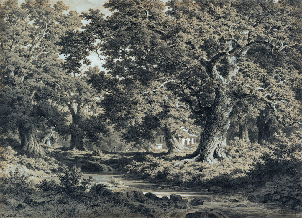 Robert Zünd (Lucerne 1827-1909 Lucerne) Siebeneich in Kerns, non daté, plume, encre noire, lavis d’encre et rehauts de gouache blanche sur papier, 29,5 x 40,5 cm - Crédit photographique: Julien Gremaud / imei-co