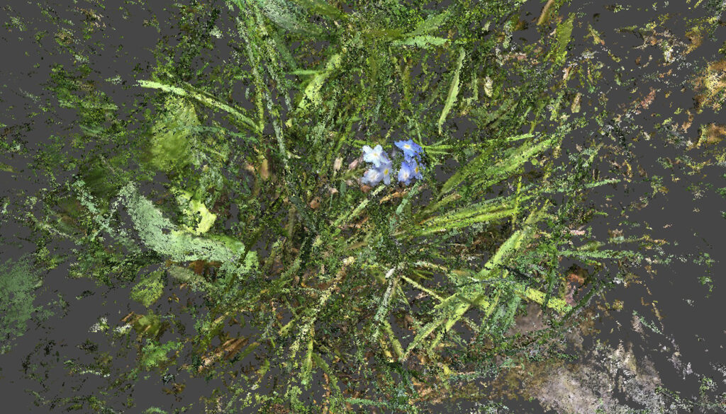 «Rustling Silence», Werk von © Sara Liz Marty