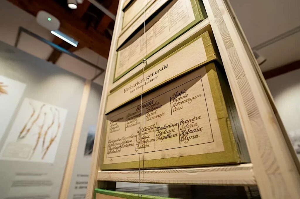 Boîtes d'herbiers des collections du musée © michaelmaillard.com