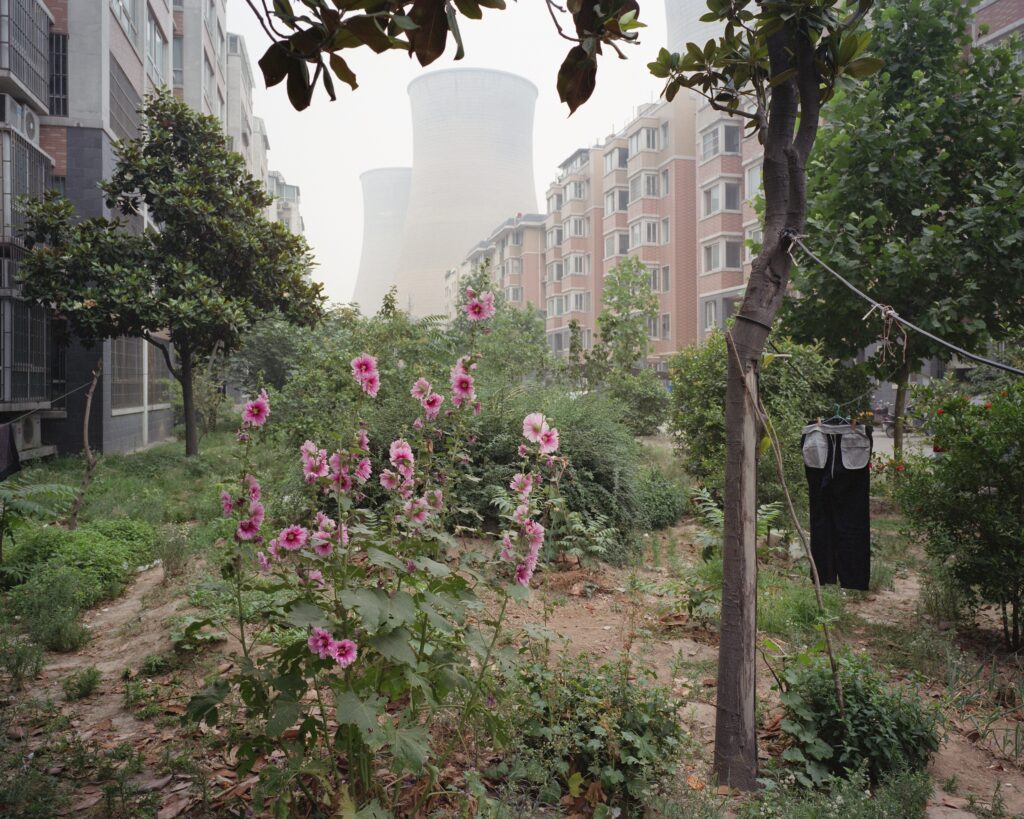 Andreas Seibert, Zhengzhou, Henan Provinz, China, 2015, Sammlung Förderverein