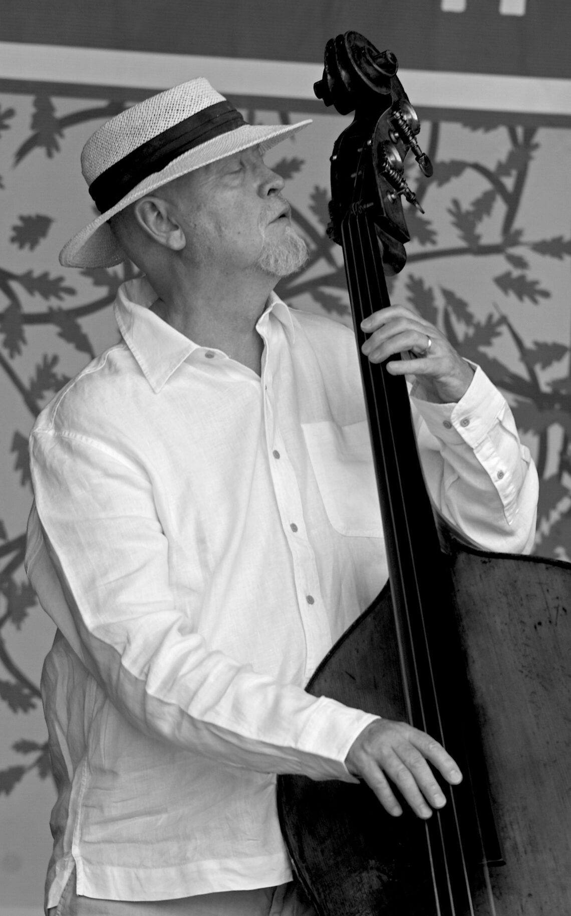 Danny Thompson, 2008 - Foto: David Laws - Lizenz: https://creativecommons.org/licenses/by-sa/3.0/deed.en - Datei: https://commons.wikimedia.org/wiki/File:Danny_Thompson.JPG
