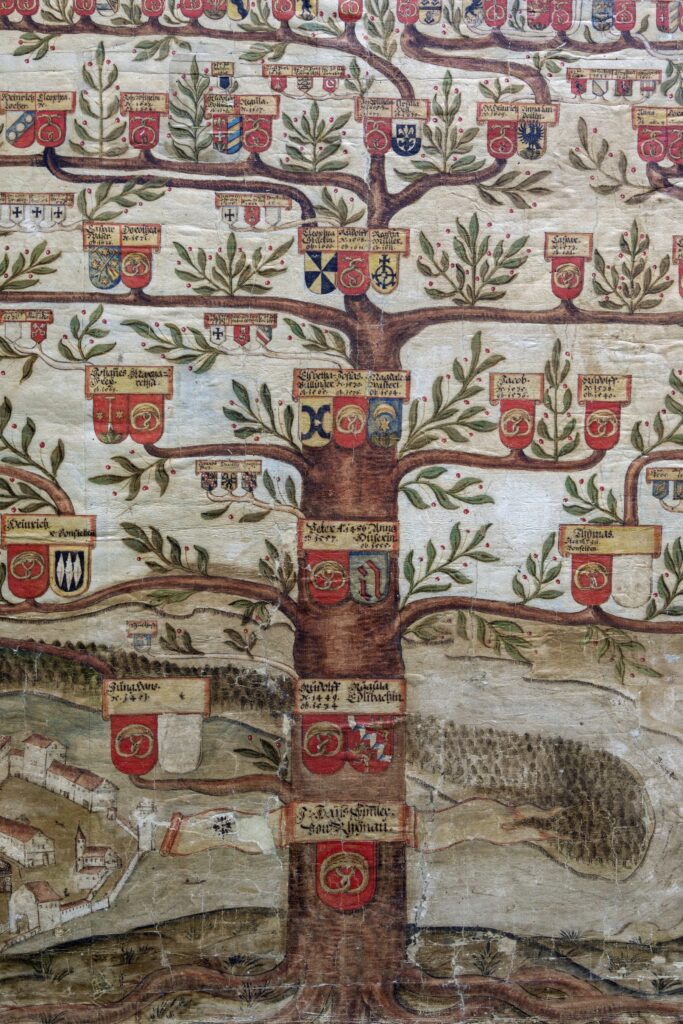 Stammbaum der Zürcher Familie Simmler, um 1700, Ausschnitt (Signatur: ZB Zürich, Hs FA 3a: 1.1) Bild: Chr. Schmid, Zentralbibliothek Zürich.