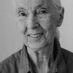 Jane Goodall, 2019 - Foto: Johanna Lohr im Auftrag von Steingarts Morning Briefing - Lizenz: https://creativecommons.org/licenses/by-sa/4.0/deed.en - Datei: https://commons.wikimedia.org/wiki/File:Johanna_lohr_jane-goodall.jpg