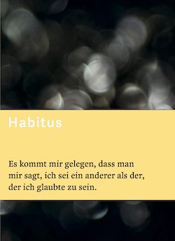 Habitus – von Waseem Hussain und Sascha Reichstein mit einem Essay von Silvia Henke. editionR https://editionr.ch/product/habitus/