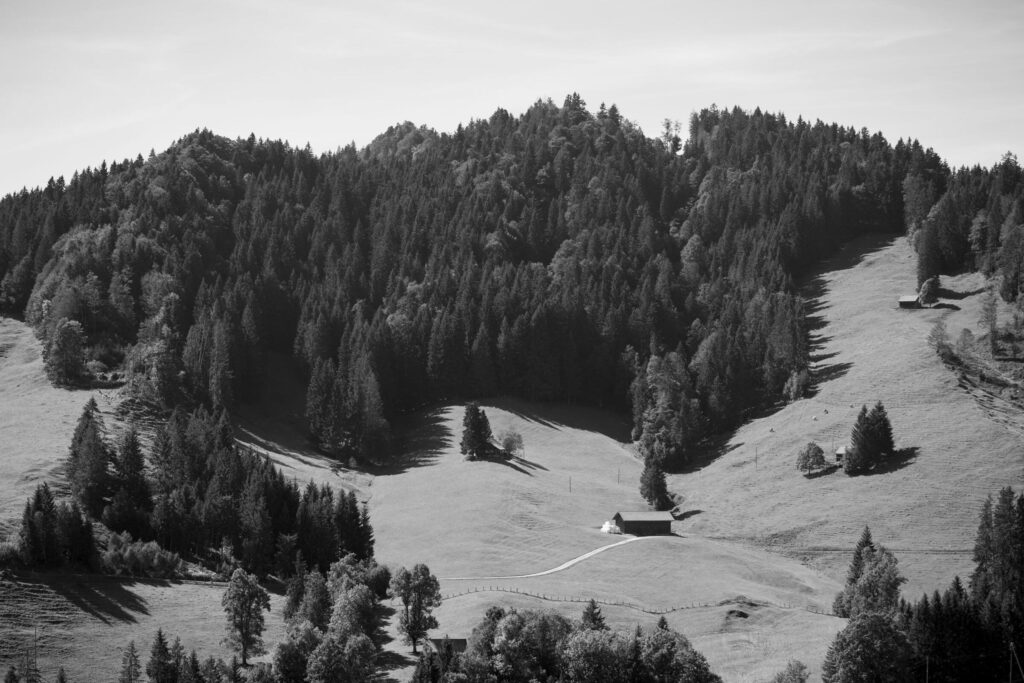 Staatswald Urnäsch (AR) Foto: ©Florian Bachmann