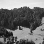 Staatswald Urnäsch (AR) Foto: ©Florian Bachmann