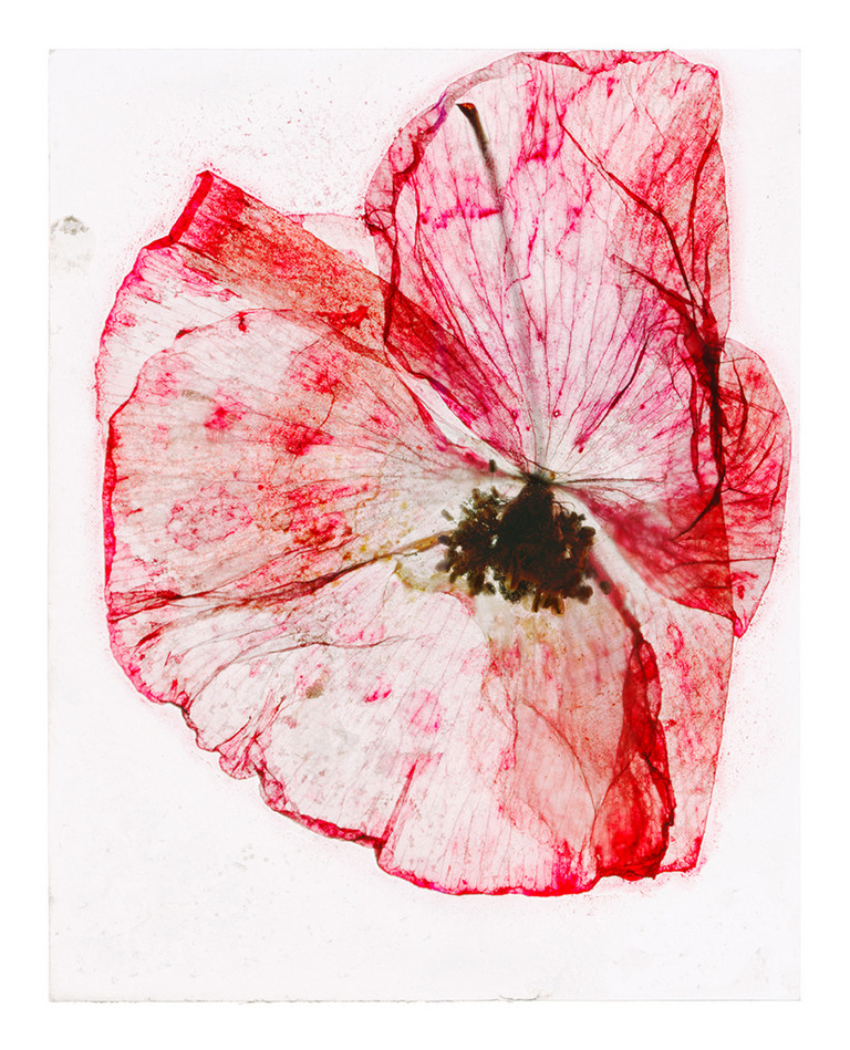 © Brigitte Lustenberger, Between Mists of Memory, https://lufo.ch/news/