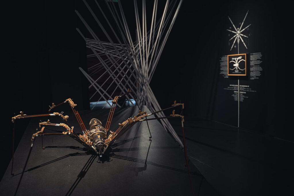 Images: Vues d’installation «KSSSS, KSSSS, KSSSS – Bestiaire utopique», Muséum d’histoire naturelle de Neuchâtel (MHNN), 2025 / 2026 - Photos: © MHNN Neuchâtel 2025