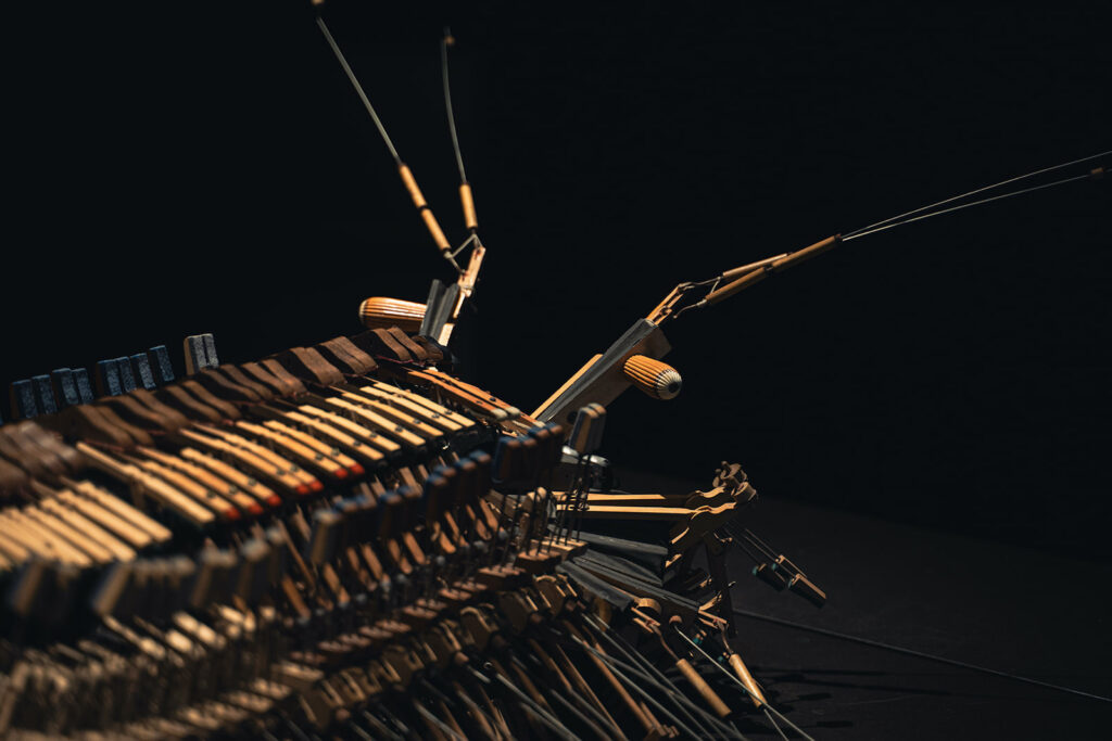 Images: Vues d’installation «KSSSS, KSSSS, KSSSS – Bestiaire utopique», Muséum d’histoire naturelle de Neuchâtel (MHNN), 2025 / 2026 - Photos: © MHNN Neuchâtel 2025