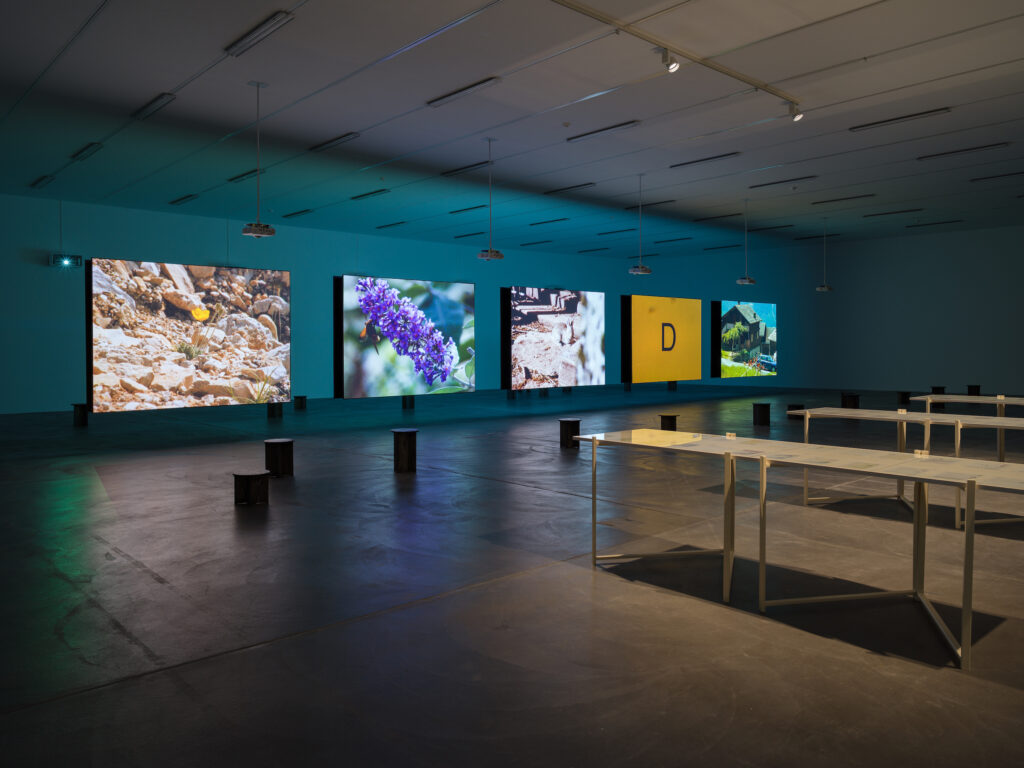 Rose Lowder, «Bouquets», Ausstellungsansicht Kunsthalle Zürich, 2025–26 - Foto: Cedric Mussano