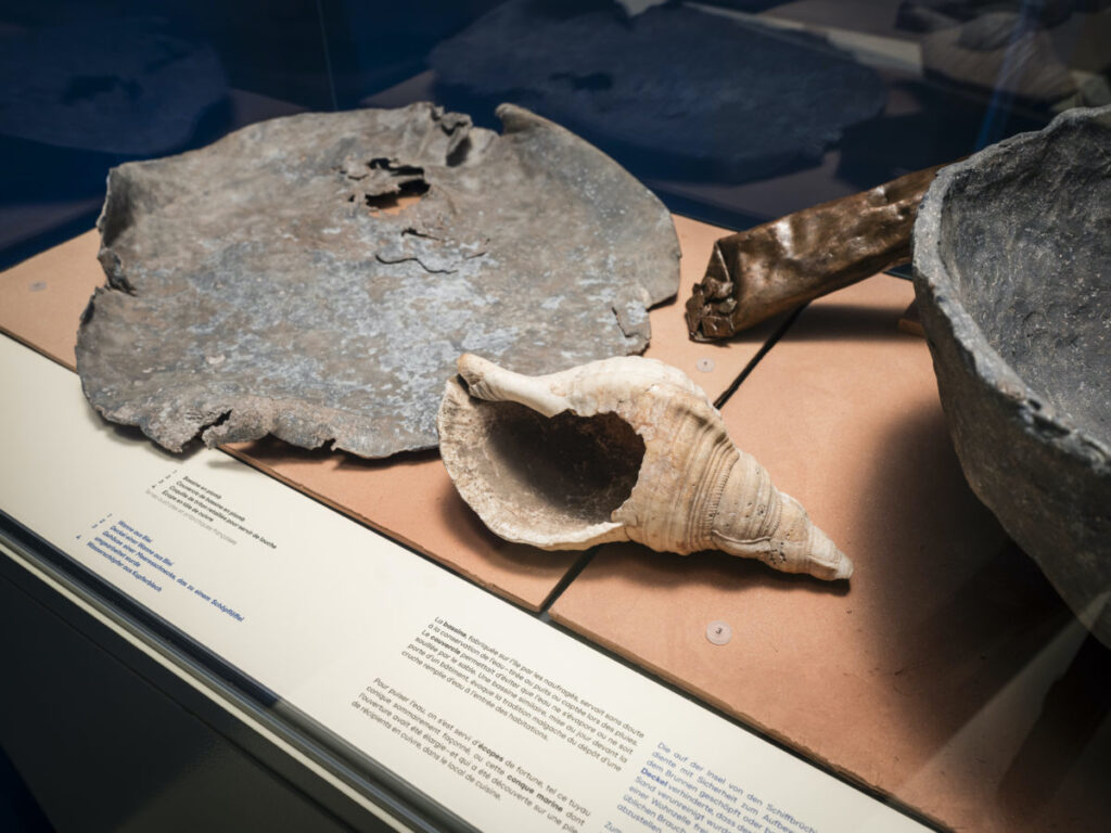 Laténium, Guillaume Perret