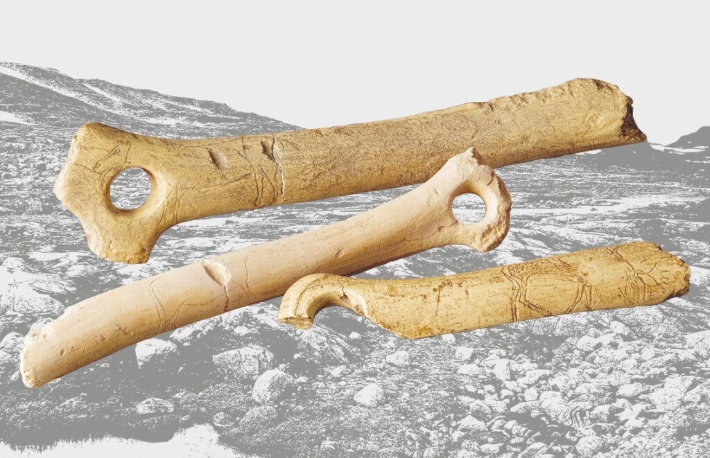 Lochstäbe mit Ritzzeichnungen, Thayngen-Kesslerloch Als 1874 bei den ersten Ausgrabungen in der Kesslerlochhöhle bei Thayngen auch kleine Kunstobjekte entdeckt wurden, galt dies als Sensation. Weltweit bekannt wurde insbesondere die Ritzzeichnung des sogenannten «Weidenden Rentiers» (auf dem Lochstab im Vordergrund). Die naturgetreue Darstellung zeigt eindrücklich, wie aufmerksam die Menschen ihre Umgebung beobachteten.