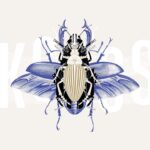 Images: Vues d’installation «KSSSS, KSSSS, KSSSS – Bestiaire utopique», Muséum d’histoire naturelle de Neuchâtel (MHNN), 2025 / 2026 - Photos: © MHNN Neuchâtel 2025