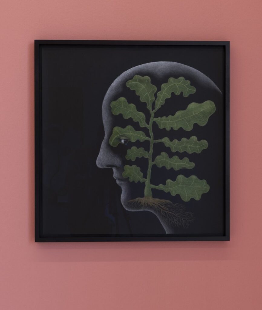 Sabian Baumann, Pflanzengesicht, 2024 - Foto: Studio Massimiliano Rossetto