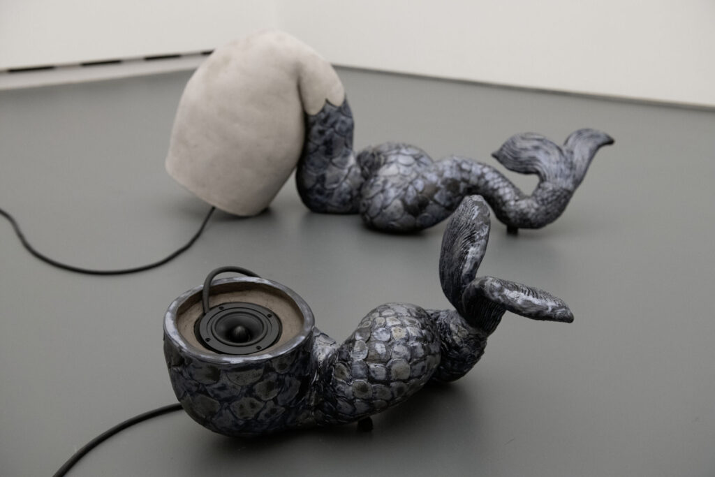 Bild: © Angela Anzi - Foto: © Caroline Minjolle / Aargauer Kunsthaus Auswahl 24