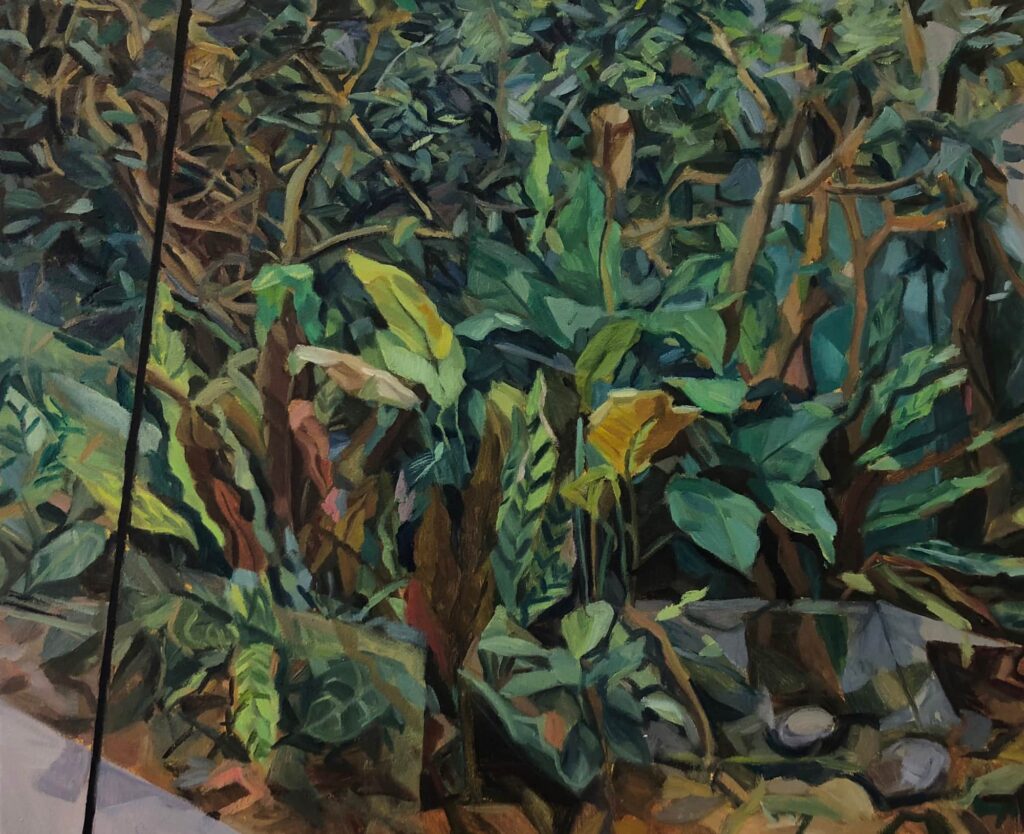 Irene Habegger, Reptilarium, 2025, Öl auf Leinwand, 50 x 60 cm, Besitz der Künstlerin © Irene Habegger