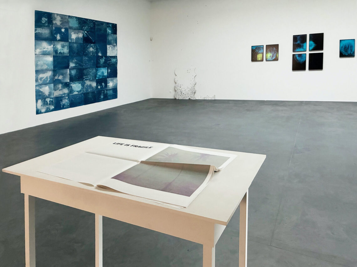 Cantonale 25 / 26, Werke von Claudia Breitschmid & Samuel Haettenschweiler, Noon Marrero Julian, Anna-Katharina Scheidegger und Marco Frauchiger - Foto: Kunsthaus Interlaken