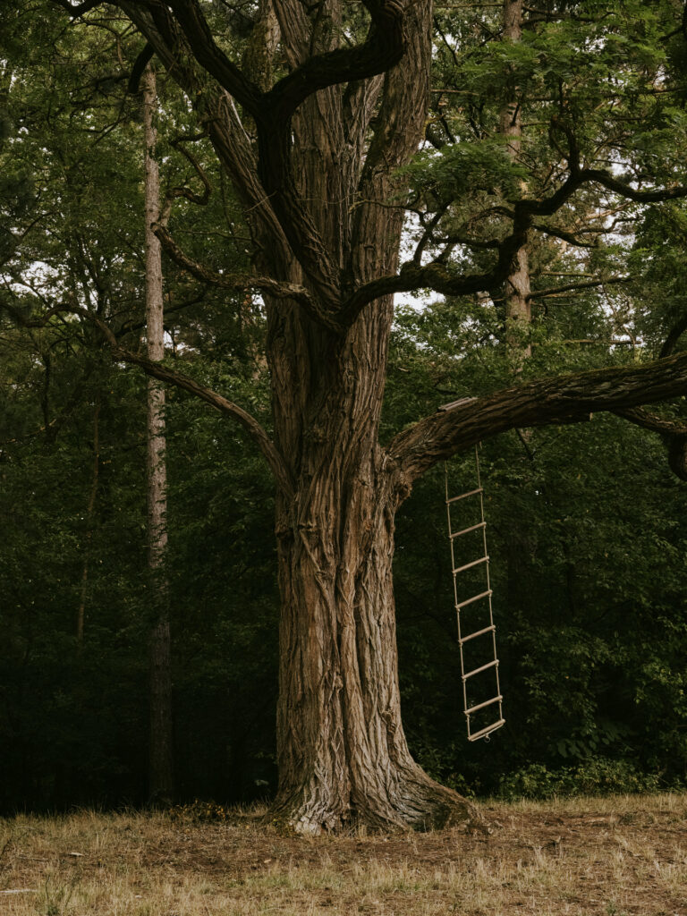 © Sabine Hess_2025