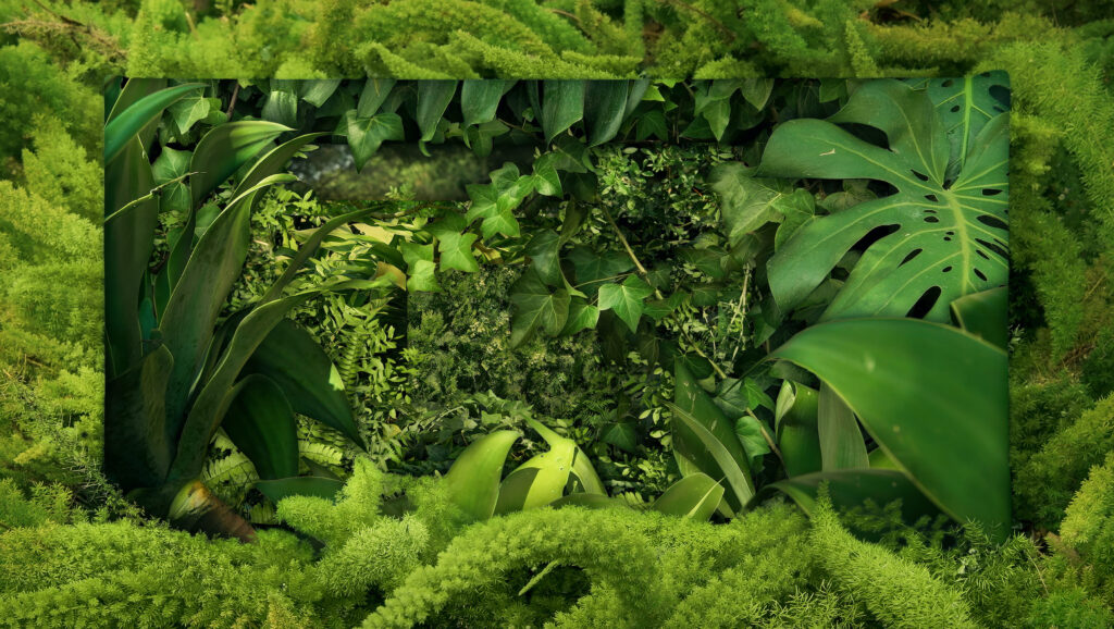 Timo Ullmann (*1987), Greenscreen, 2023 Video 4K auf 50'' Bildschirm, 12 min
© Timo Ullmann