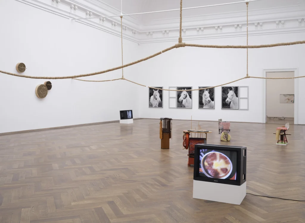 Ausstellungsansicht Regionale 26 Kunsthalle Basel 2025 - Foto: © Philipp Hänger / Kunsthalle Basel