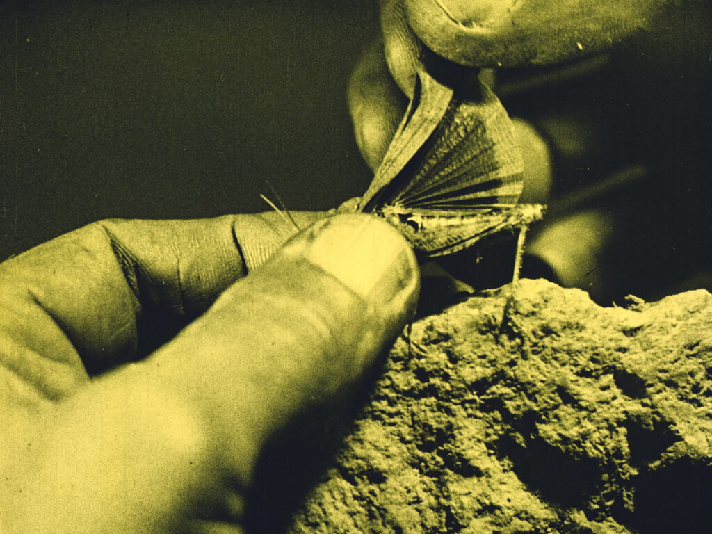 Alexandra Navratil, The Fluttering Being (Detail Videostill), 2022 1-Kanal-Video, Farbe, Ton, 5'20''
Mit Genehmigung der Künstlerin
© Alexandra Navratil