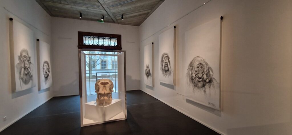 Vue de l’exposition © John Howe / Muséum Neuchâtel