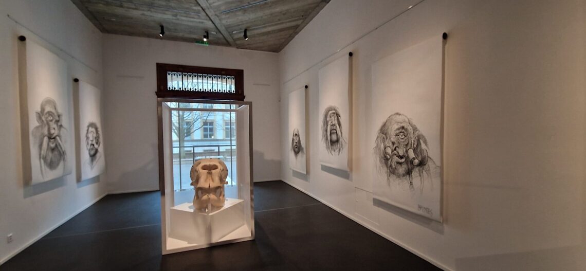 Vue de l’exposition © John Howe / Muséum Neuchâtel