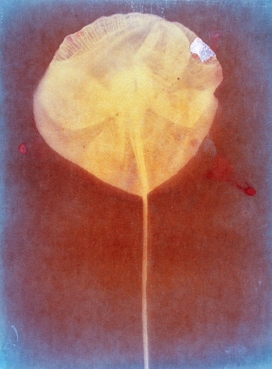 Ester Vonplon, Ohne Titel, aus Flügelschlag, 2020–2024 © Ester Vonplon