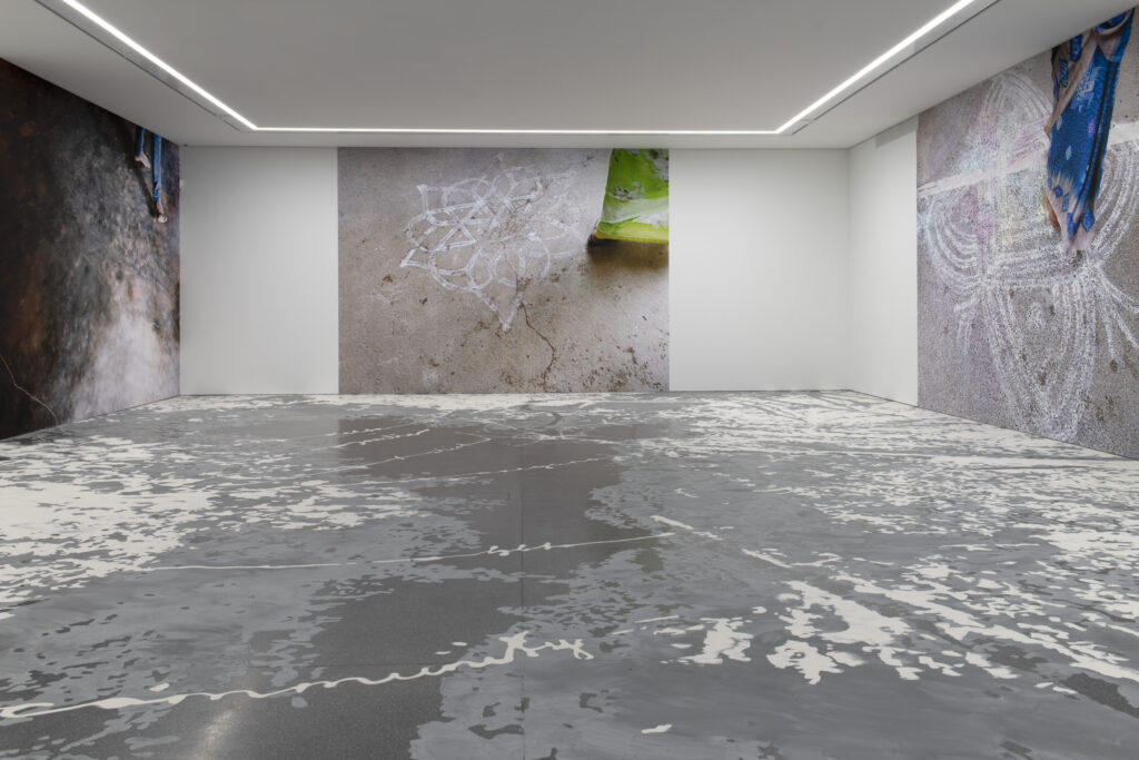 Daniela Keiser, Oregano, 2026 (Ausstellungsansicht Bündner Kunstmuseum Chur)