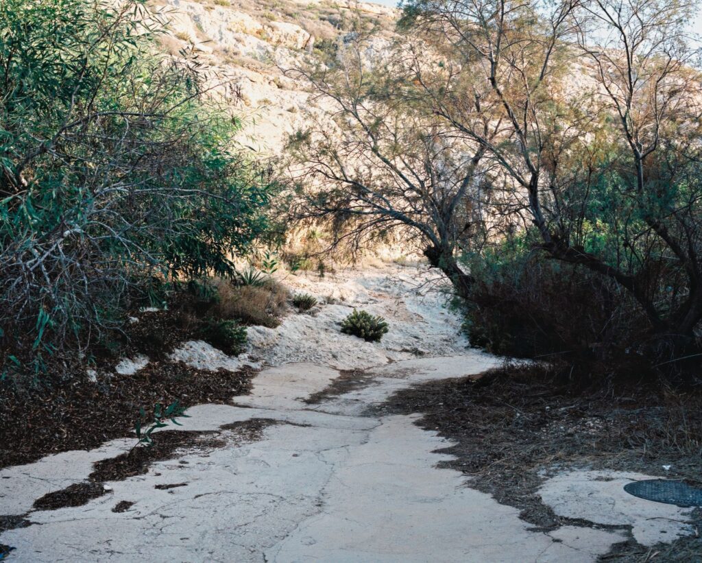 Eva Diallo, Bolol 2025, ED_part6_brut_1_upscaled-hq-scale-1_50x copie