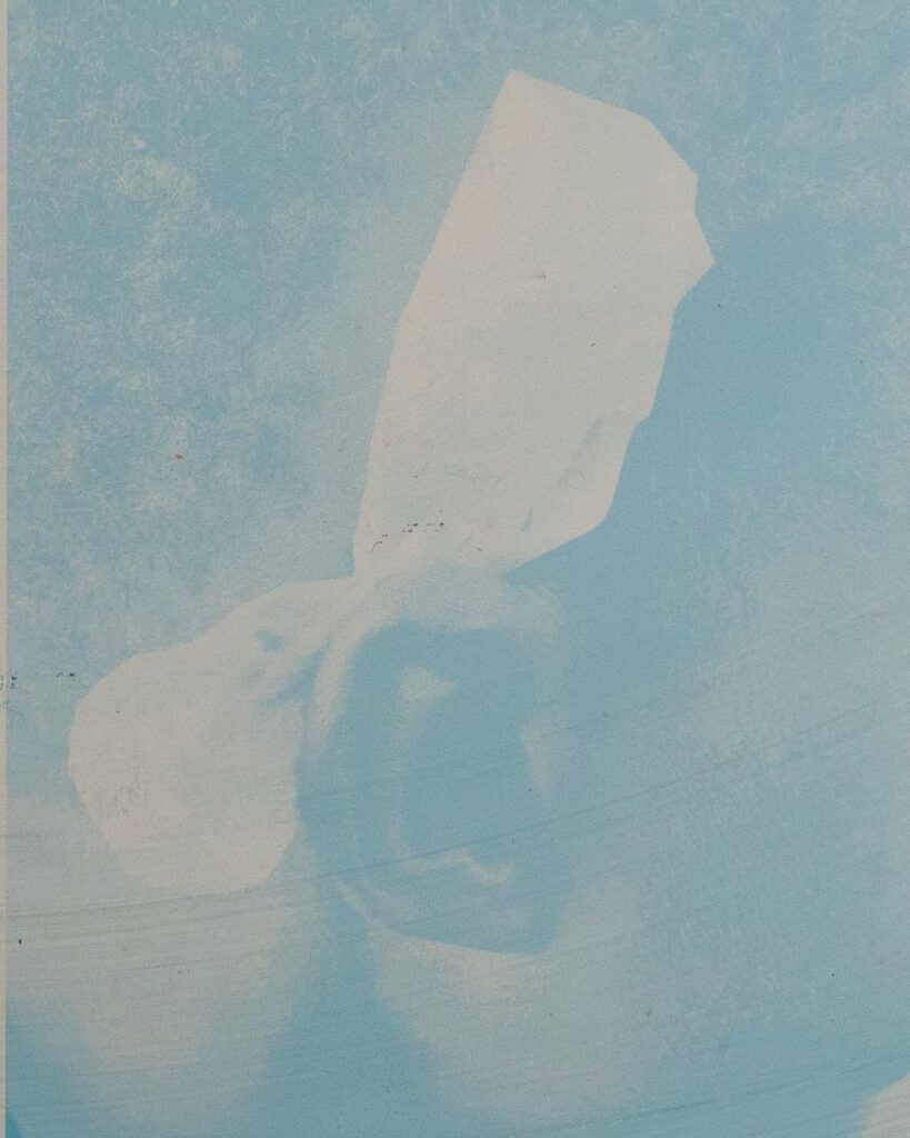 Eva Diallo, Bolol 2025, aluminium plates