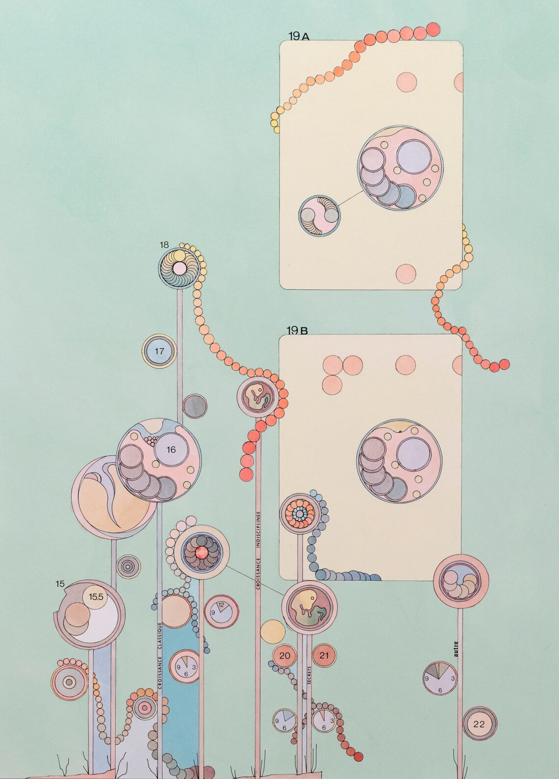 Image: © Alan Schmalz