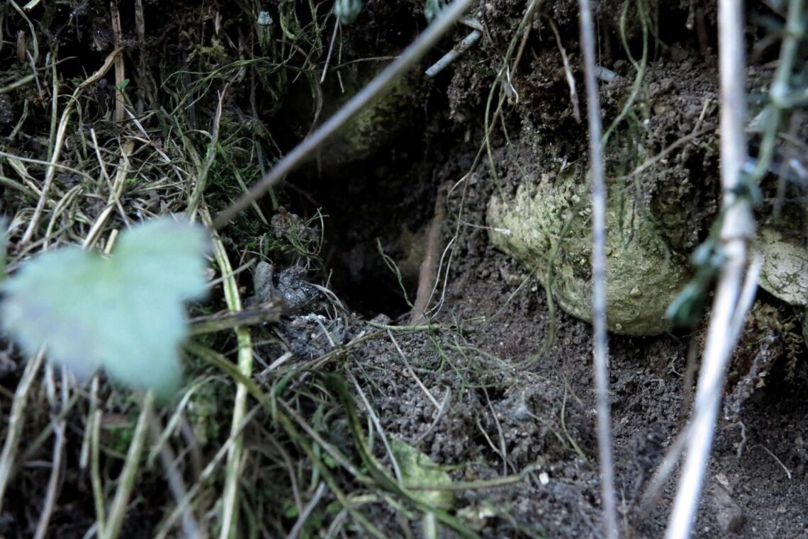 © Jan van Oordt, aus der Serie Wasser im Wasser, 2021 (Bild Nr. 55/80)