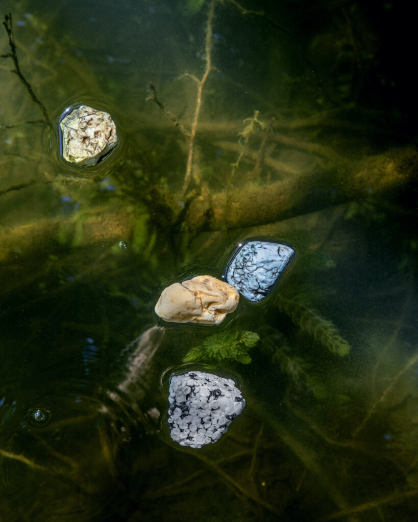 Bild aus der Serie «Stranded» von Nora Dal Cero - Foto: © Nora Dal Cero, https://www.noradalcero.ch/