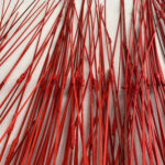 Renata_Buenter_126_Staebe