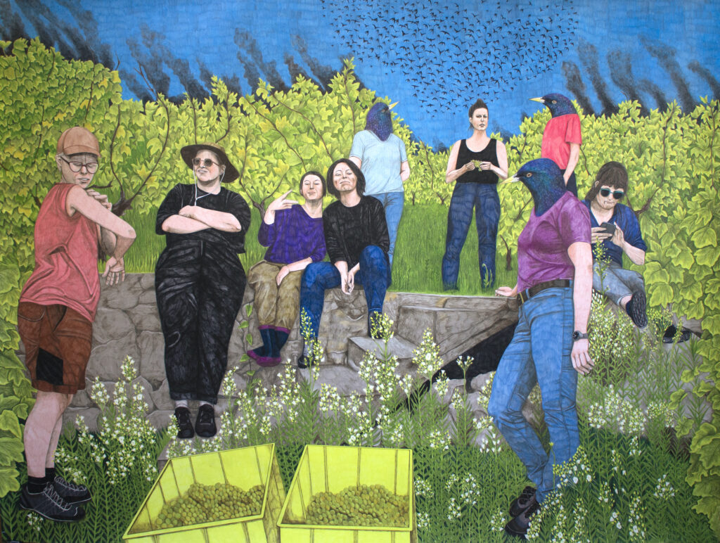 © Lucie Kohler, Vendanges 25-133x176