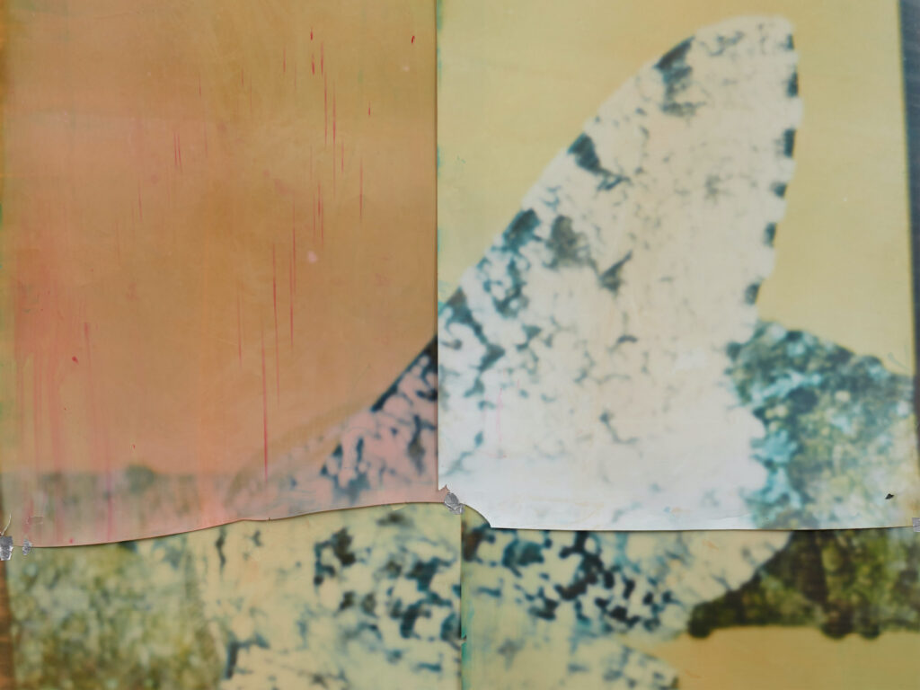 © Nat Faulkner, Natural Exposure, 2023