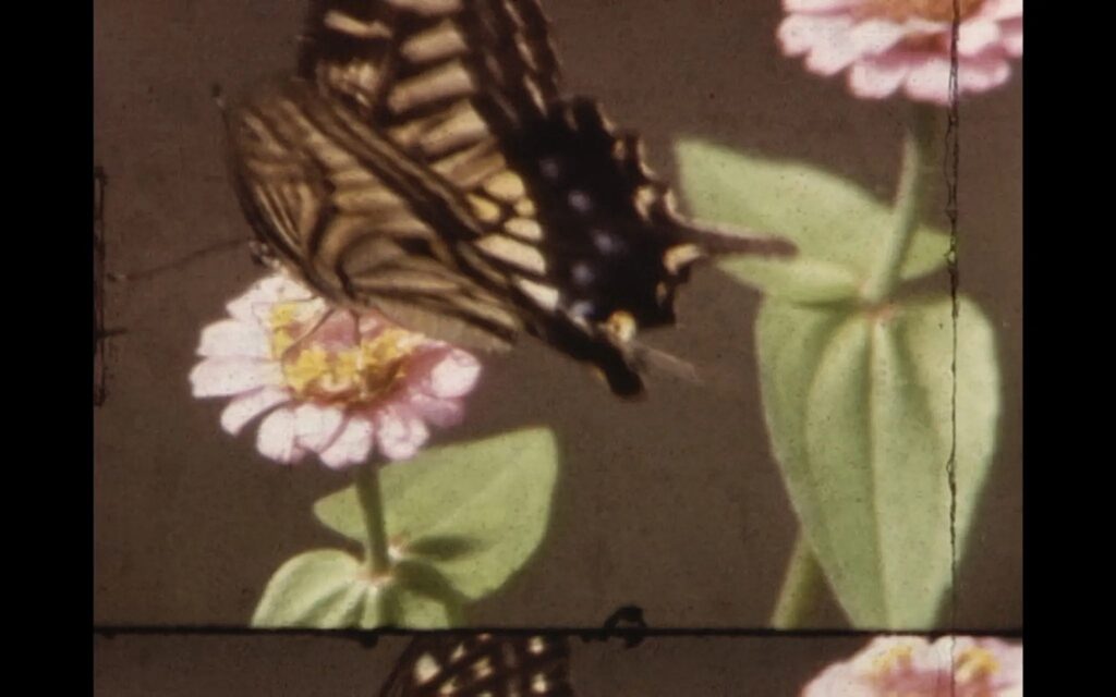 Bild: Denise Bertschi, STATE FICTION. Fluid Montage, 2026, digital prints and wallpaper (detail) © Denise Bertschi