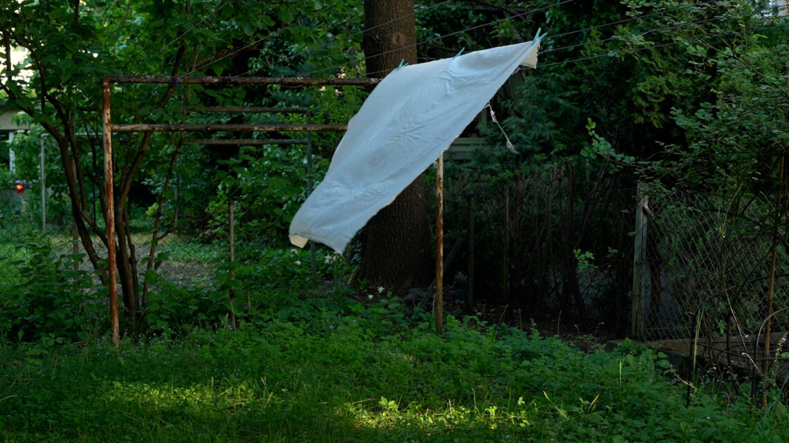 Credit: nedia boutouchent, Four Letters On The Table 1