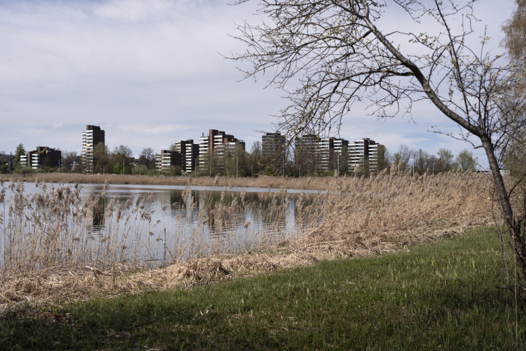 Das Seeufer des Zugersees bei der Chollermuelli-Landschaft der Lorzenebene, zwischen der Stadt Zug und Cham, fotografiert am Montag, 6. April 2026 in Zug Bild: Landschaft des Jahres 2026: Lorzenebene - Fotonachweis: © KEYSTONE -SDA / Gaëtan Bally
