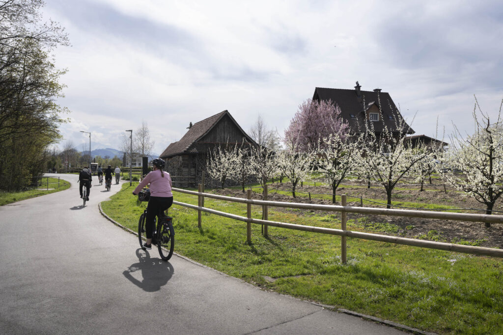 Menschen fahren Velo entlang der Lorze auf der Lorzenebene, zwischen Cham und der Stadt Zug, fotografiert am Montag, 6. April 2026 in Zug. Bild: Landschaft des Jahres 2026: Lorzenebene - Fotonachweis: © KEYSTONE -SDA / Gaëtan Bally