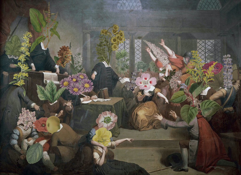«Trial of Invasives», Collage, 2025 Céline Baumann, © Studio Céline Baumann