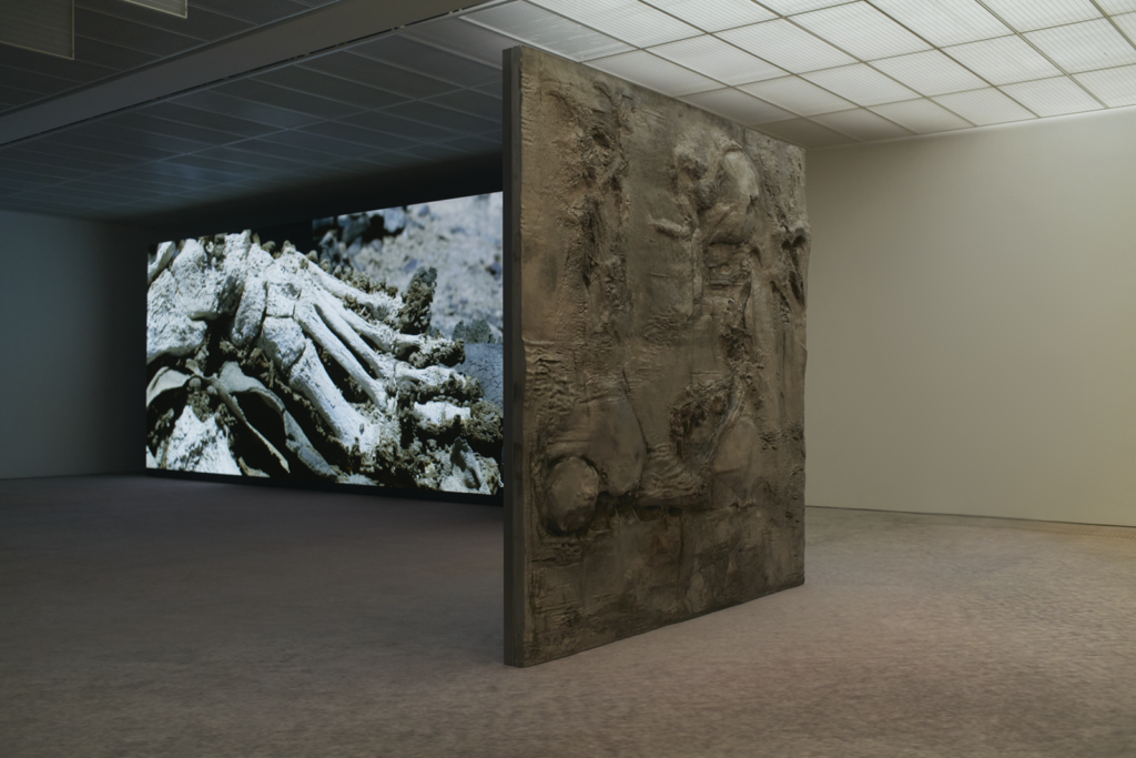 Bilder: Installationsansichten «Pierre Huyghe», Fondation Beyeler, Riehen/Basel, 2026 - Foto: Ola Rindal