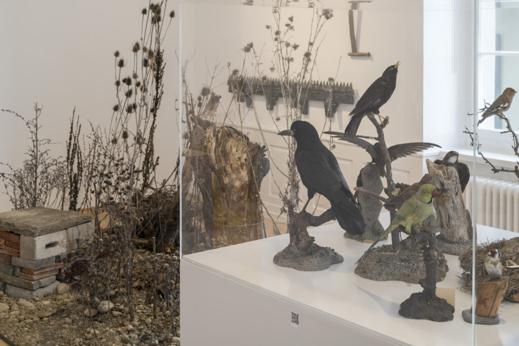 Ausstellungsansicht «neue Widnis», Gewerbemuseum Winterthur - Foto: © Michael Lio, 2026