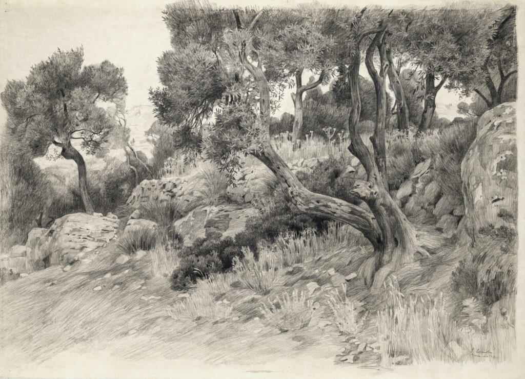 Lipinsky, Sigmund_Olivenhain bei Terracina, 1912_Foto Walter Bayer, München