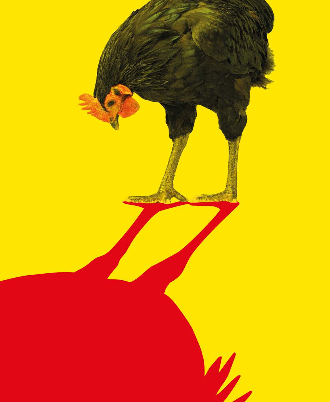 Ausschnitt Plakat, © Naturmuseum Solothurn / Nina Waser, 2026