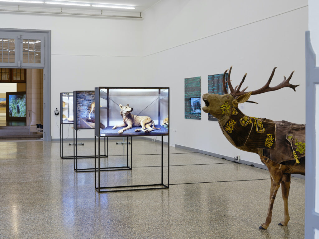 Ausstellungsansicht «Luzia Hürzeler & Gäste», Luzia Hürzeler, Hannes Rickli und Rémy Markow, 2026 - Foto: © David Aebi
