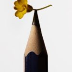 Nicolas Polli, Per fare tutto, ci vuole un fiore, 2025 Courtesy de l’artiste